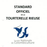 Standard officiel de la Tourterelle rieuse – Fiches éditions 2021