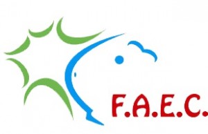Logo FAEC