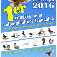 Le Congrès de la colombiculture française