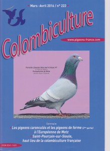 colombiculture222 001