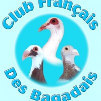 Championnat de France des bagadais