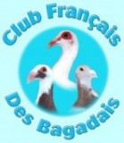 Championnat de France des bagadais