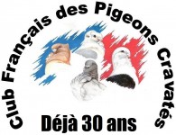 Club français des pigeons Cravatés – Saison 2017