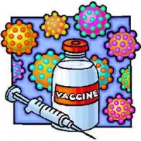 Vaccination paramyxovirose