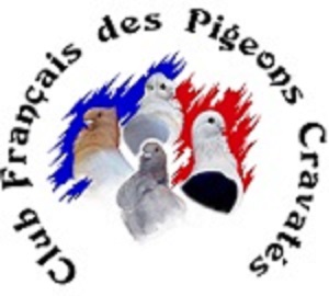 Programme 2015-2016 du Club Français des Pigeons Cravatés