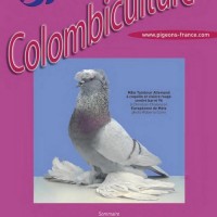 Colombiculture n° 221 arrive