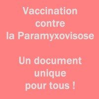 Un certificat de vaccination irréprochable