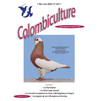 Colombiculture n° 247 arrive !