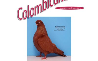 Colombiculture n° 266 arrive !