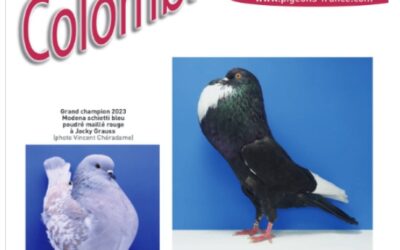 Colombiculture n° 267 arrive