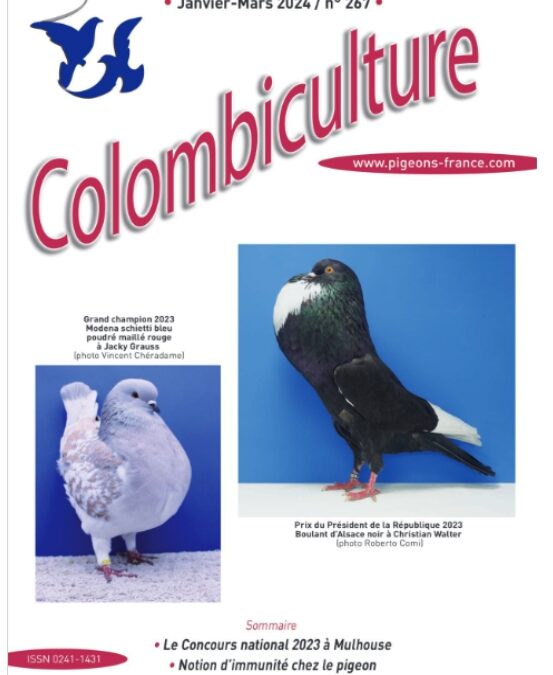 Colombiculture n° 267 arrive