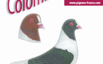 Colombiculture n°273 bientôt chez vous