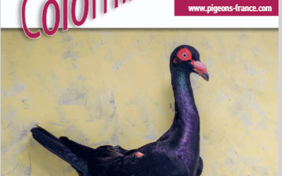 Colombiculture n° 274 arrive