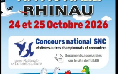 Rhinau : 43ème Concours national