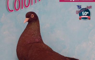 Colombiculture n° 277 bientôt chez les abonnés